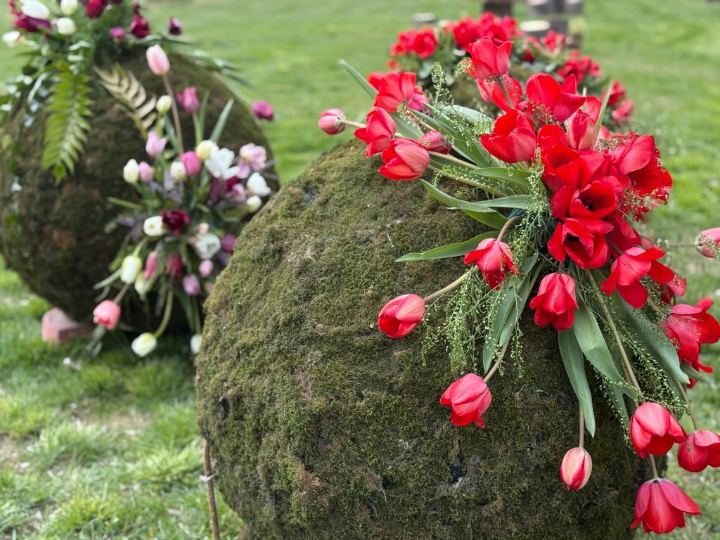 402b6147-1aa6-425a-a199-e997e126a8f4 – Ziarul Argeşul - ediţia online