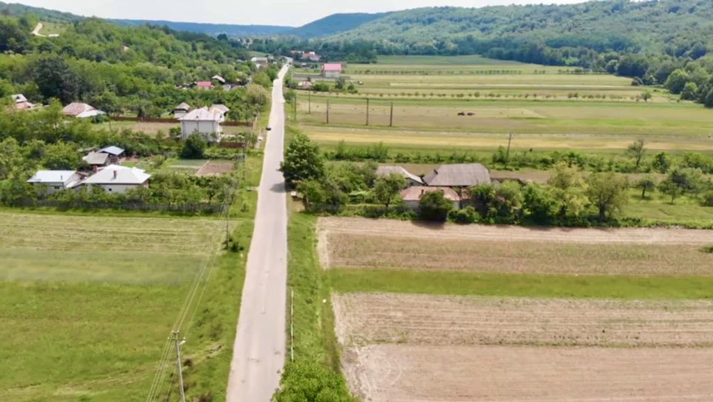 Cocu – Ziarul Argeşul - ediţia online