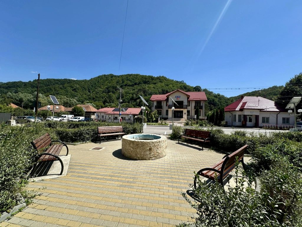 Lupii se apropie de casele din Cetățeni. Localnicii trăiesc cu frica atacurilor