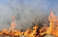 Incendiu de vegetație în Argeș! Victimă cu arsuri pe corp