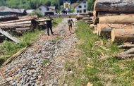 Argeș: Dosare penale și confiscări record de lemn în valoare de peste 400.000 lei