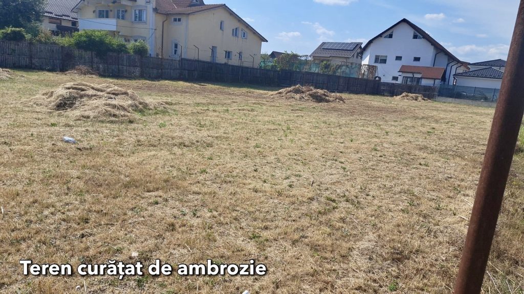 IMG_3645 – Ziarul Argeşul - ediţia online