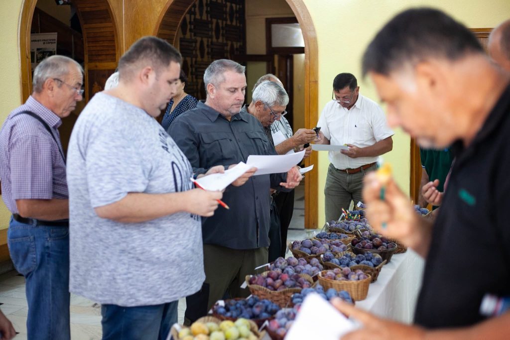 Institutul de Pomicultură Mărăcineni face angajări. Post de muncitor calificat, pe perioadă determinată