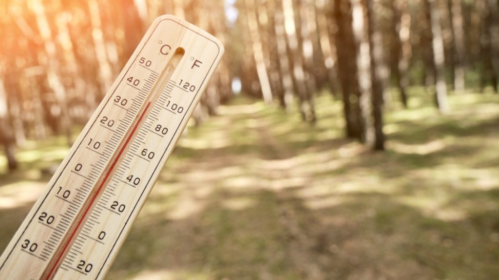 Vremea-septembrie- – Ziarul Argeşul - ediţia online