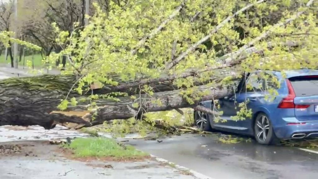 Copac căzut și beci inundat în Argeș! Intervenții ale pompierilor după ploile abundente