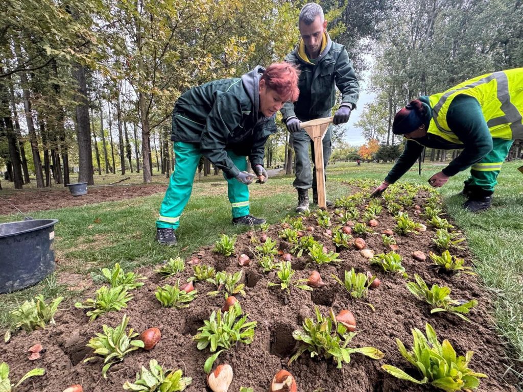 IMG_4588 – Ziarul Argeşul - ediţia online