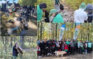 Voluntarii din Pitești au colectat peste 3 tone de deșeuri din pădurea Trivale