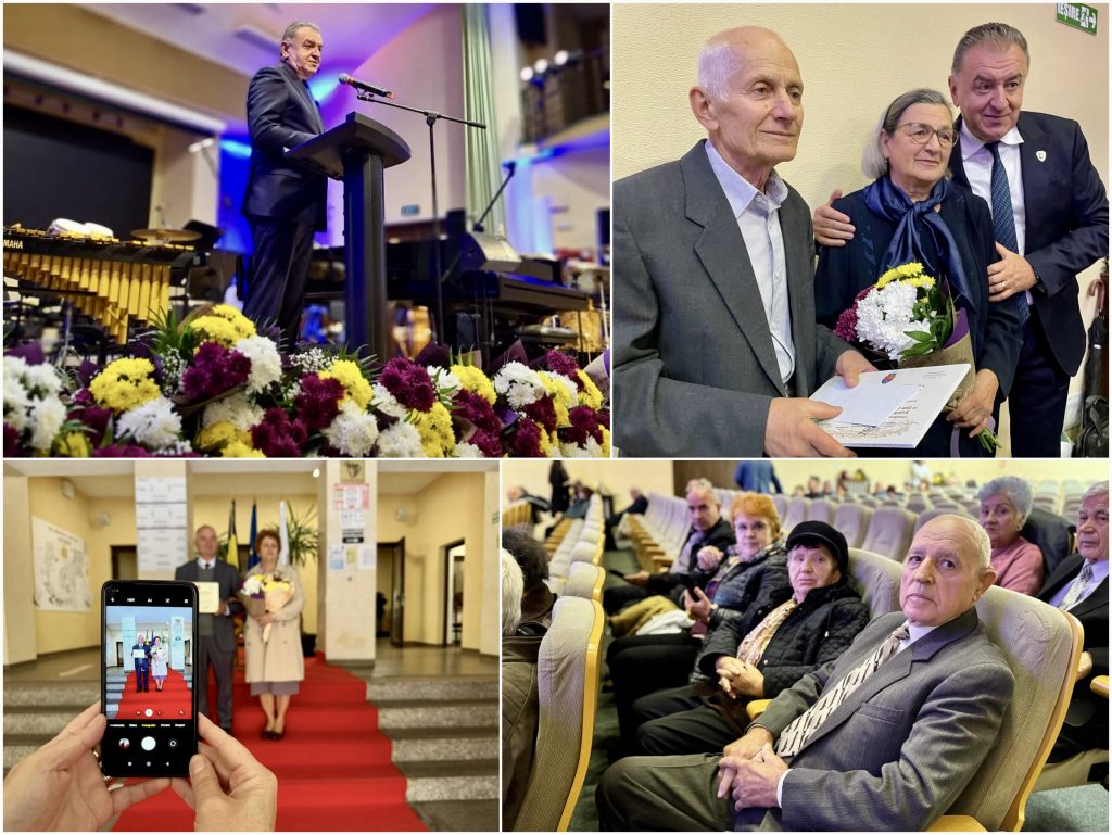 Cupluri premiate Pitești