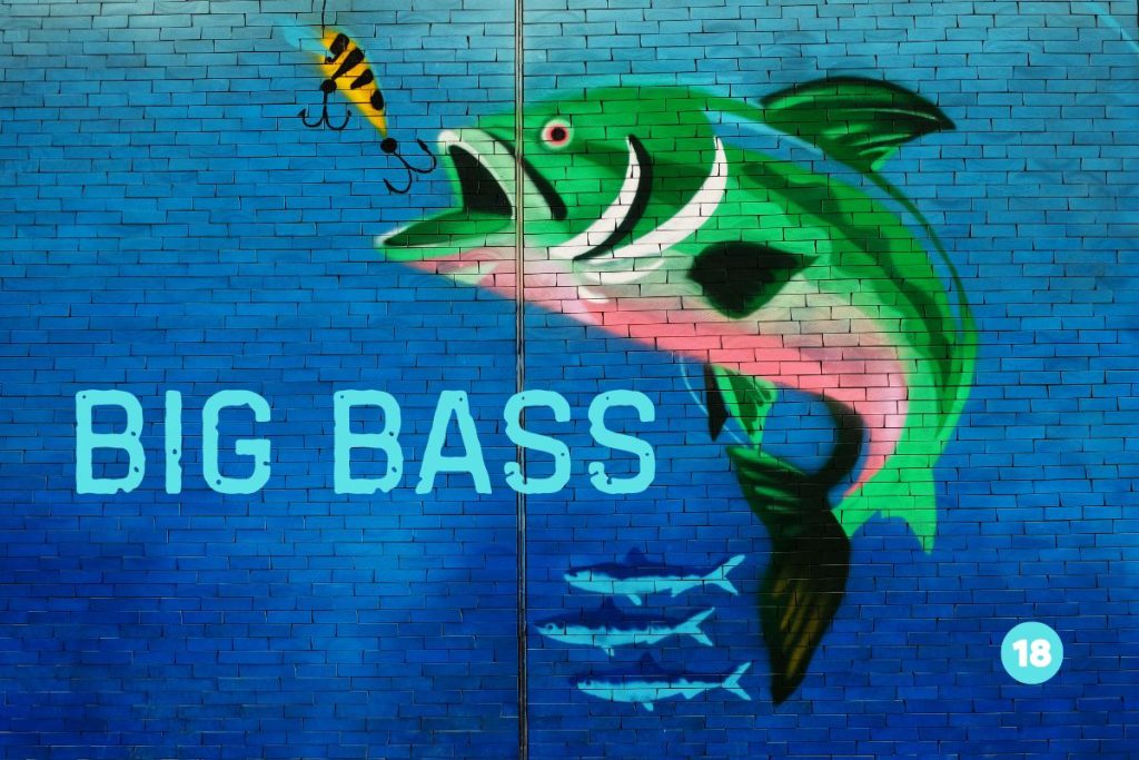 Big Bass - 1 – Ziarul Argeşul - ediţia online