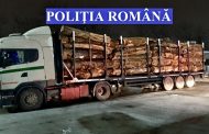 Delicte silvice în Argeș. Controale de 48 de ore soldate cu 15 amenzi și lemn confiscat