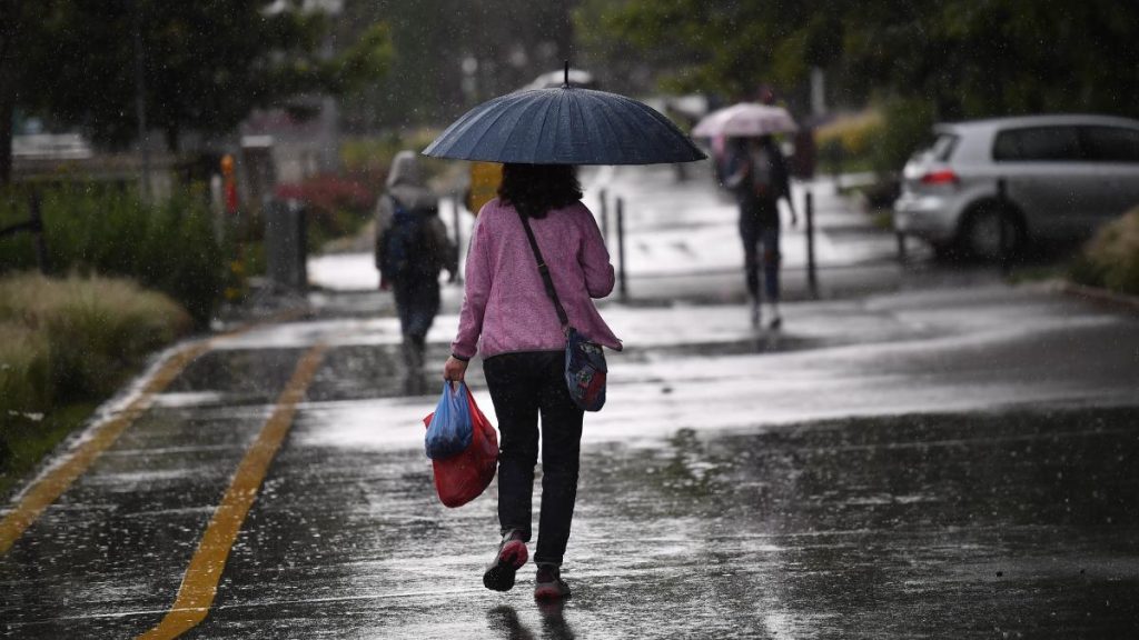 Ploaie-2 – Ziarul Argeşul - ediţia online