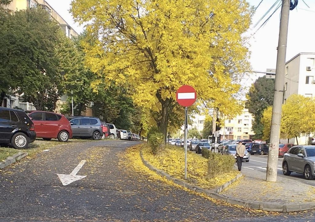 Sens-unic-3 – Ziarul Argeşul - ediţia online