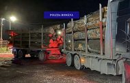 Transport ilegal de lemn descoperit în Argeș. Un tânăr din Cetățeni, amendat cu 5.000 de lei