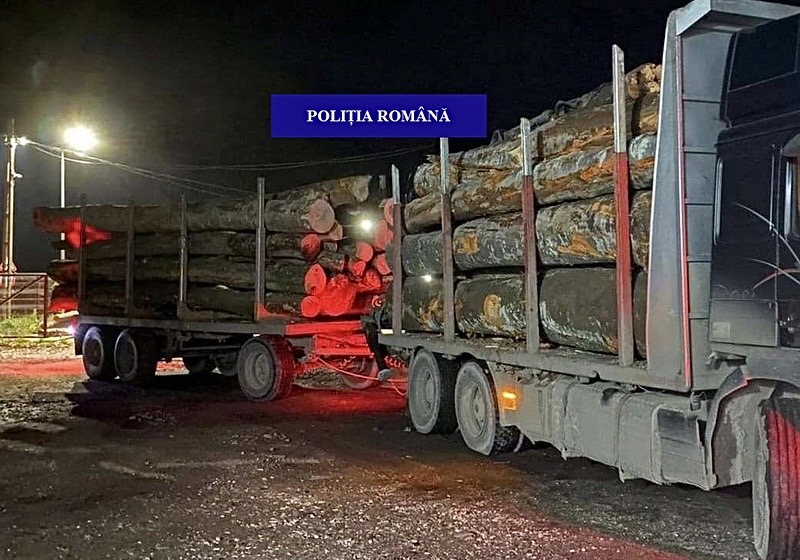 Transport ilegal de lemn Argeș