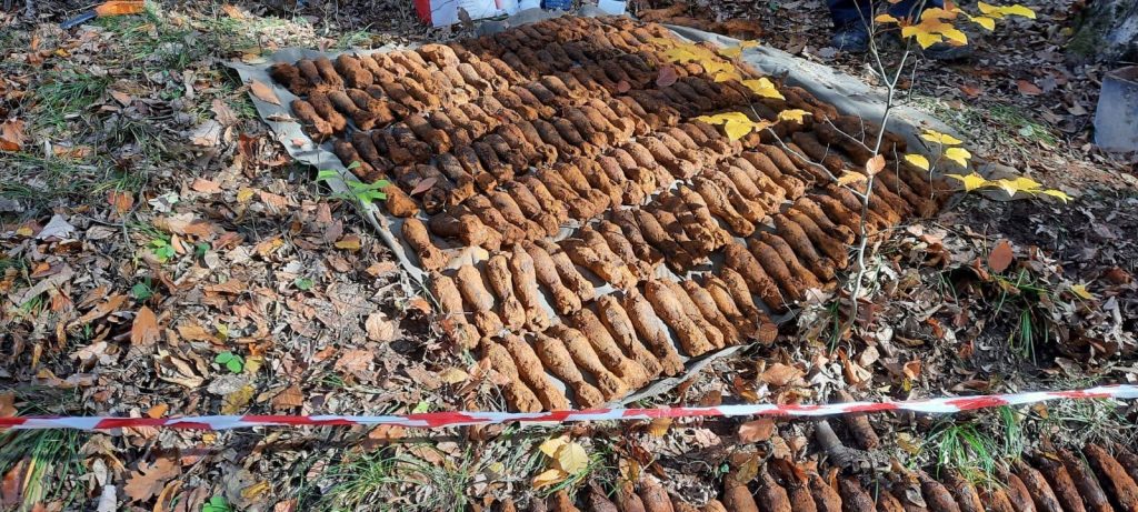 8995a731-4c0b-45af-8acd-9ab60af698ba – Ziarul Argeşul - ediţia online