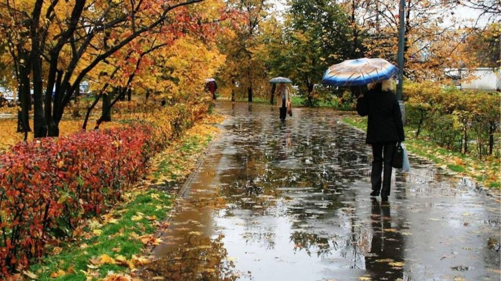 vremea-noiembrie - 1 – Ziarul Argeşul - ediţia online