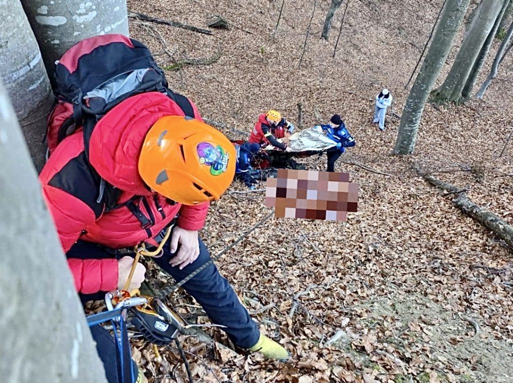 Bărbat-mort-în-pădure- – Ziarul Argeşul - ediţia online