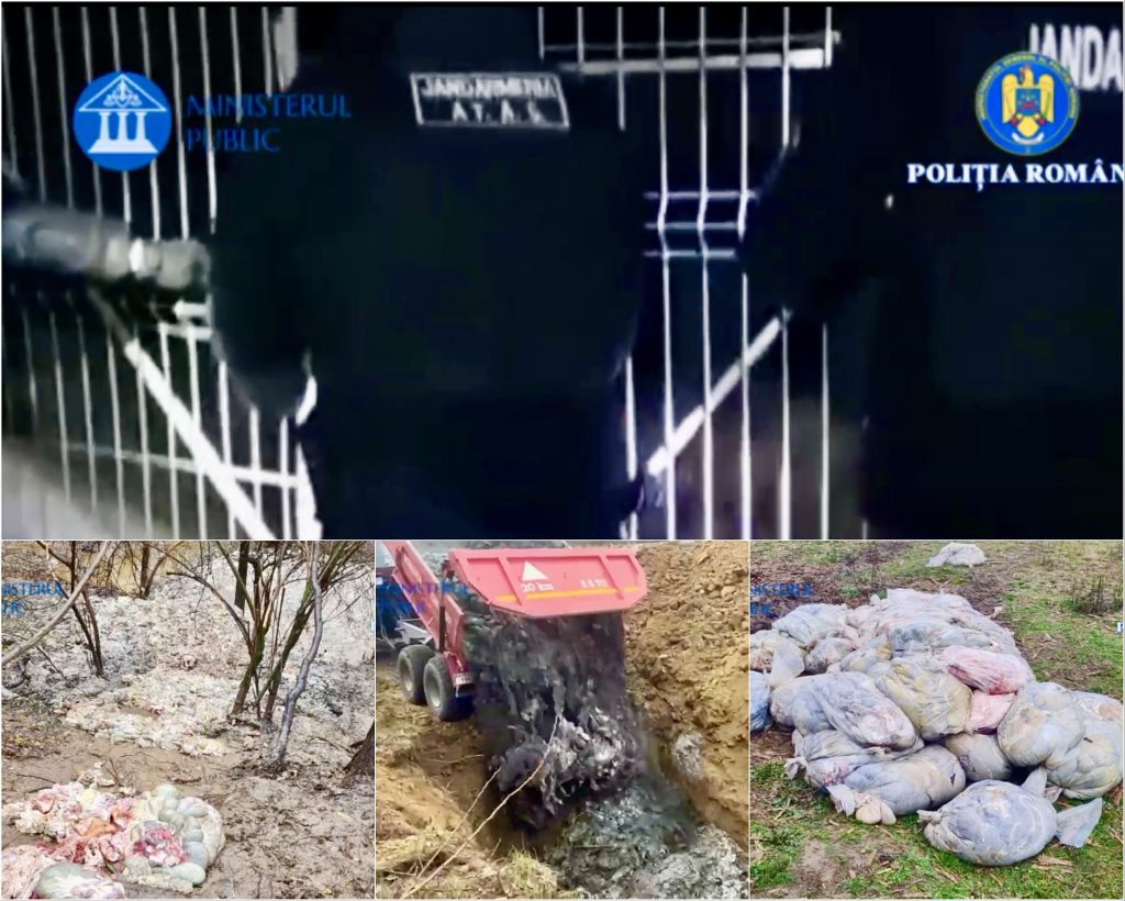 IMG_7790 – Ziarul Argeşul - ediţia online