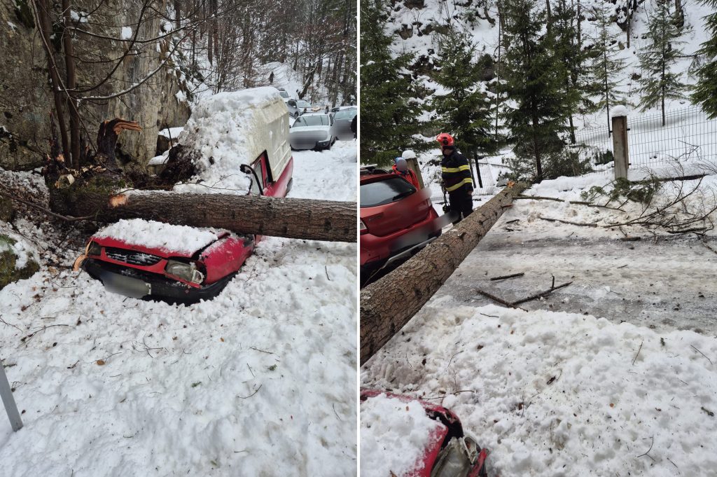 Copac-căzut-peste-mașină – Ziarul Argeşul - ediţia online