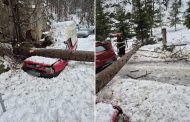 Copac căzut pe o mașină staționată în comuna Dâmbovicioara