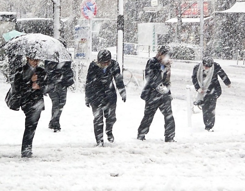 Viscol – Ziarul Argeşul - ediţia online