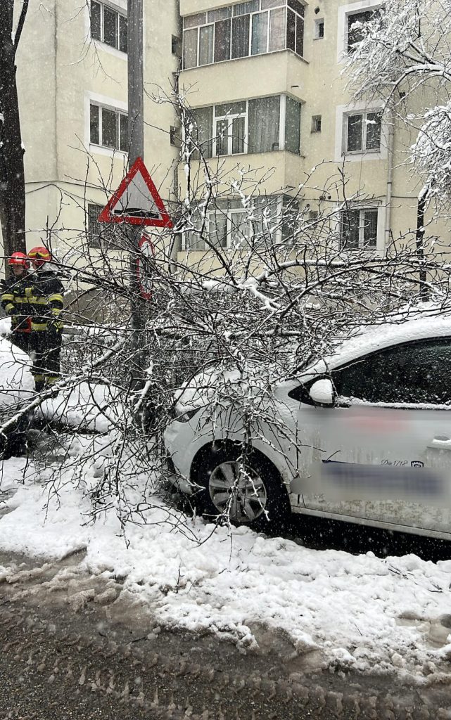 Poza pentru articolul Vremea face ravagii din nou! Copaci doborâți, mașină avariată în Pitești