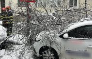 Vremea face ravagii din nou! Copaci doborâți,  mașină avariată în Pitești