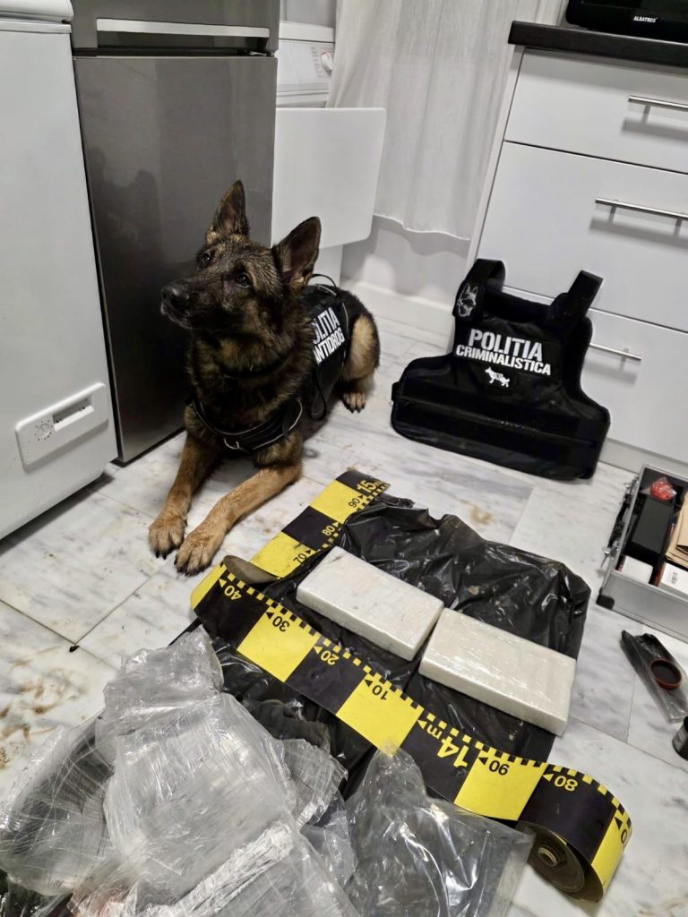 Poza pentru articolul Percheziții și rețineri în Pitești! Droguri în valoare de 300.000 euro, confiscate