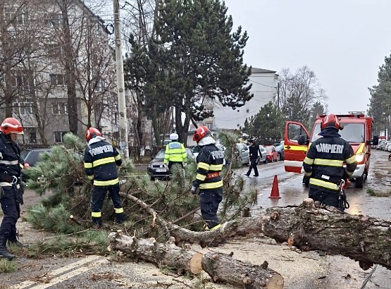 Poza pentru articolul Acum! Vântul face ravagii în Argeș. Cod portocaliu, parcuri închise în Pitești