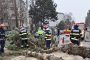 Acum! Vântul face ravagii în Argeș. Cod portocaliu, parcuri închise în Pitești