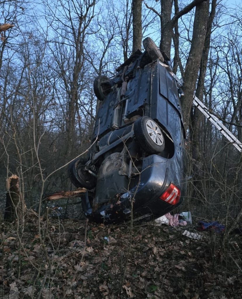 Mașina-copac- – Ziarul Argeşul - ediţia online