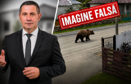 Fake-ul care a pus pe jar o comună din Argeș! Primarul Dan Stroe, adevărul din spatele „ursului”