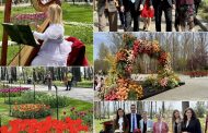 Lunca Argeșului s-a transformat într-un paradis floral. Mii de vizitatori la cel mai spectaculos festival al primăverii