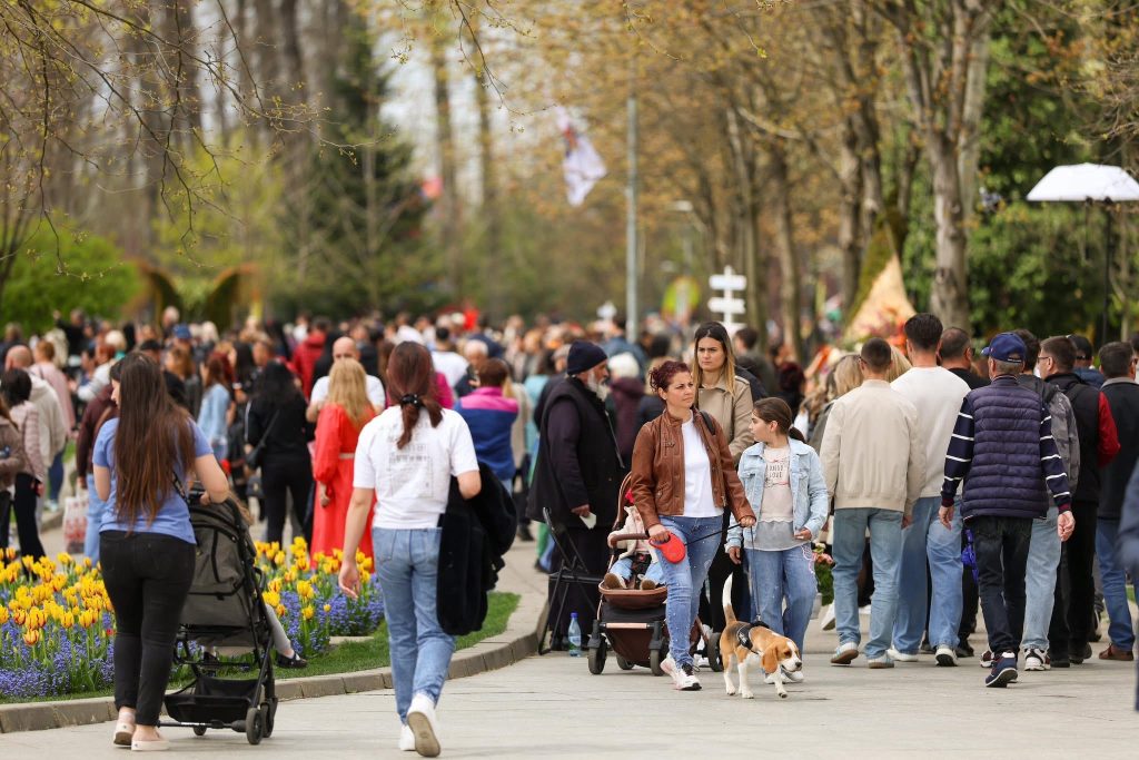 De la 3 lei la 7.500 lei! Simfonia Lalelelor, între paradis floral și realitatea prețurilor