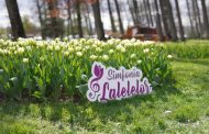 Program complet Simfonia Lalelelor 2026 la Pitești. Ce evenimente te așteaptă între 17–26 aprilie