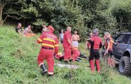 Turist străin, mușcat de un urs în zona Barajului Vidraru