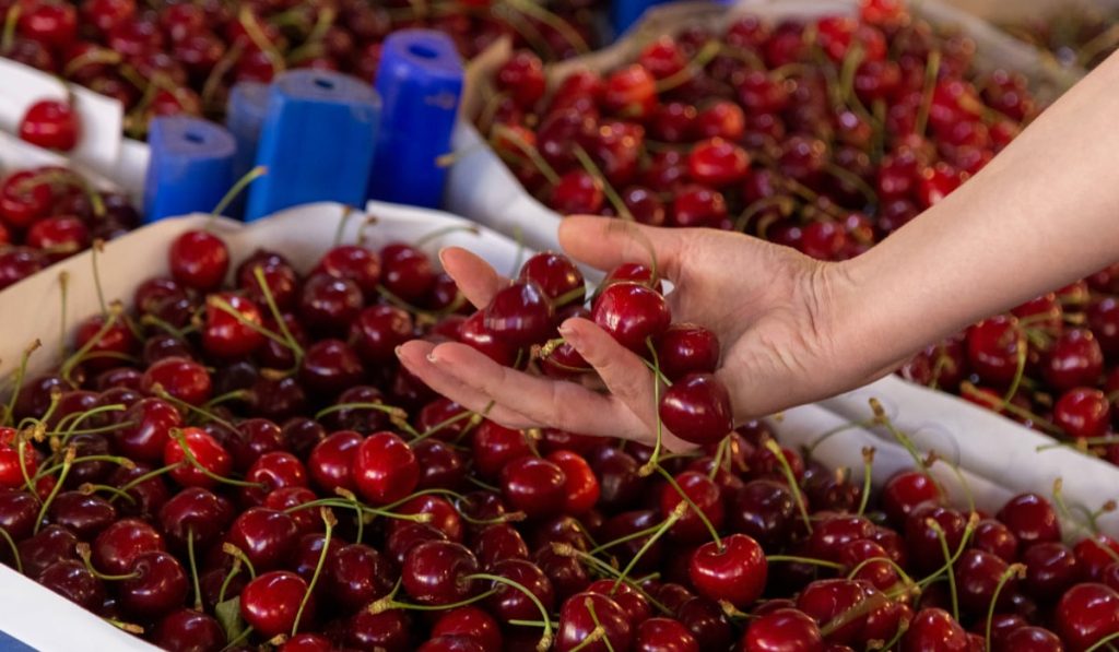 Cireșe- – Ziarul Argeşul - ediţia online