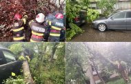 Ultima oră! Dezastru în Pitești. Copaci doborâți de vânt, mașini avariate