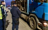 Argeș: Tăieri ilegale și transporturi oprite! Jandarmii au făcut ravagii în „afacerile” cu lemn