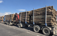 Transport ilegal de lemn depistat la Corbi: Un camion a fost indisponibilizat și marfa confiscată