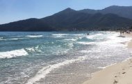 Avertisment pentru turiștii care merg în Grecia. Un pește periculos a apărut pe plaje