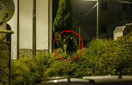 Urșii au făcut prăpăd în Argeș: Animale domestice ucise, stupi și garduri distruse în ultima săptămână