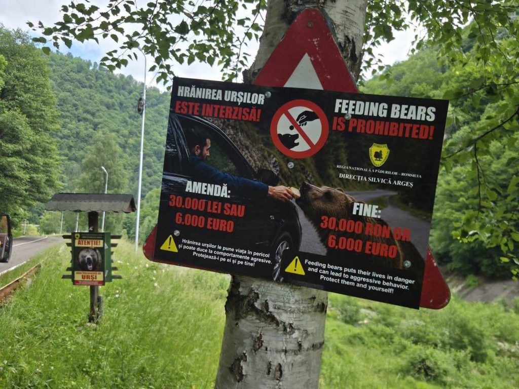 Ursu-Transfăgărășan- – Ziarul Argeşul - ediţia online