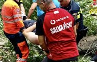 Atac pe Transfăgărășan! Un urs care a rănit un turist elvețian a fost împușcat
