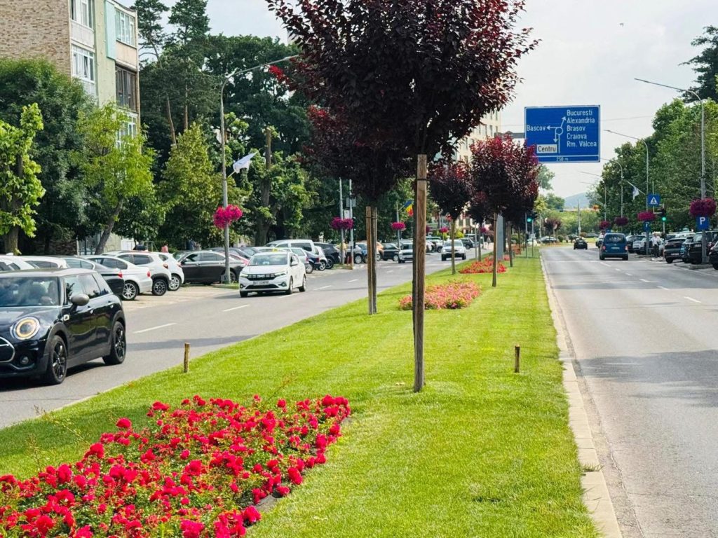 Calea-București- – Ziarul Argeşul - ediţia online