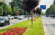 Mai multe schimbări în trafic, aprobate la Pitești. Unde apar noi treceri de pietoni, indicatoare și restricții