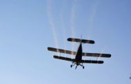 Bradu: Prima campanie de dezinsecție din acest an are loc pe 1 și 2 august. Avionul va zbura la joasă altitudine