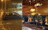 Argeș/Pitești: Vremea severă a făcut ravagii! Copaci căzuți și inundații