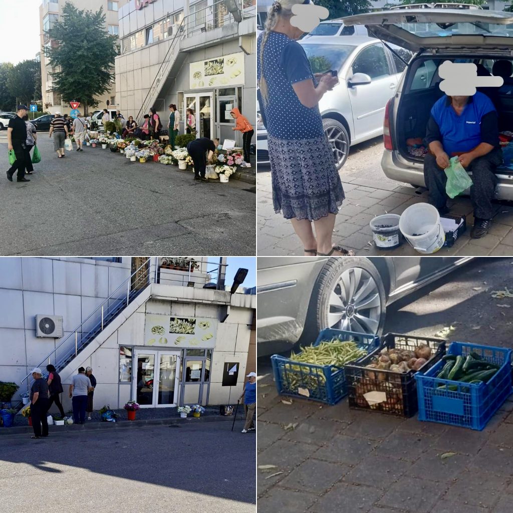 Poza pentru articolul Poliția Locală Pitești a împărțit amenzi usturătoare! Au vândut lapte, brânză și ouă din portbagaj, pe caniculă