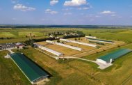 Investiție importantă în Argeș. Cel mai mare producător de ouă din România cumpără active la Suseni
